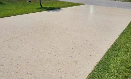 bully dog floor coatings 2025 08 27T03 09 57.863246Z 81307