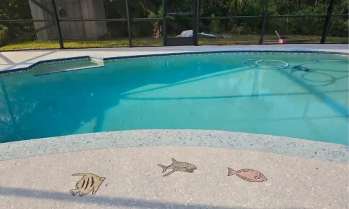 bully dog floor coatings 2025 08 27T03 09 58.456401Z 94116